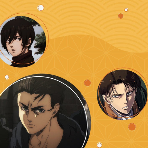 AOT Characters were Japanese Whiskies from Boozy….