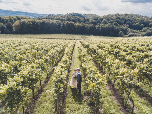 A Guide to Wedding Wine Selection