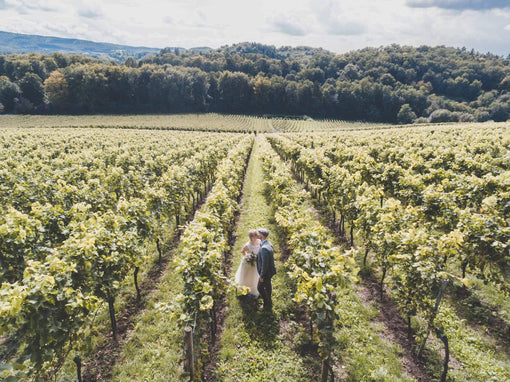 A Guide to Wedding Wine Selection | Boozy Recommends