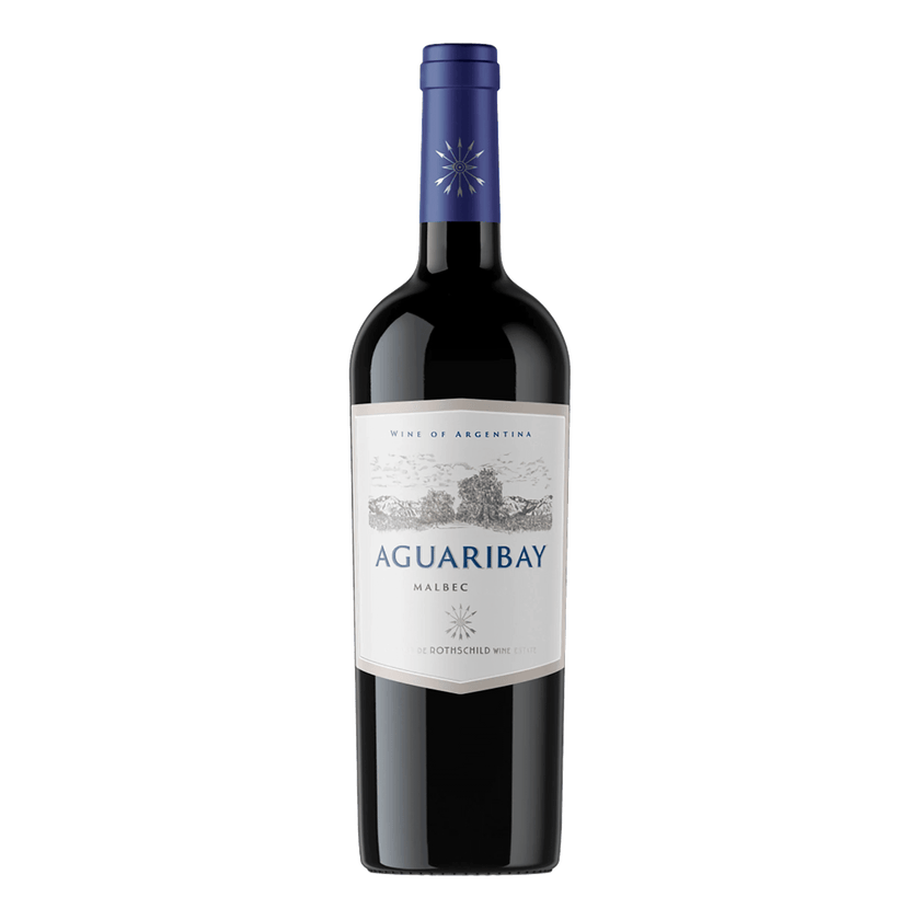 Flechas de los Andes Aguaribay Malbec Argentinian Red Wine 750ml at ₱2199.00 | Wine | Boozy.ph