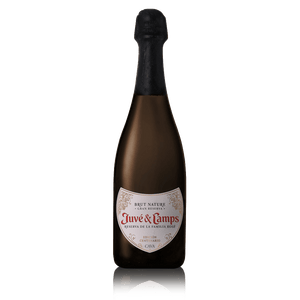 Juve & Camps Reserva de la Familia Cava Gran Reserva Rose Spanish Sparkling Wine 750ml at ₱1499.00 | Boozy.ph